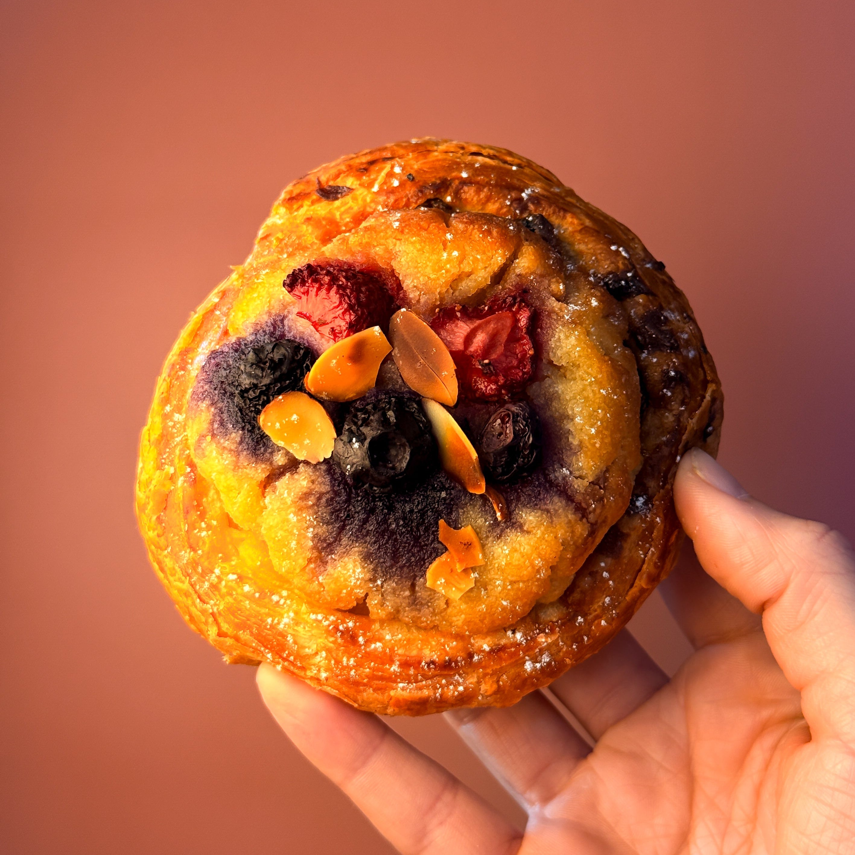 Pan au Raisin – nzcraftybaker