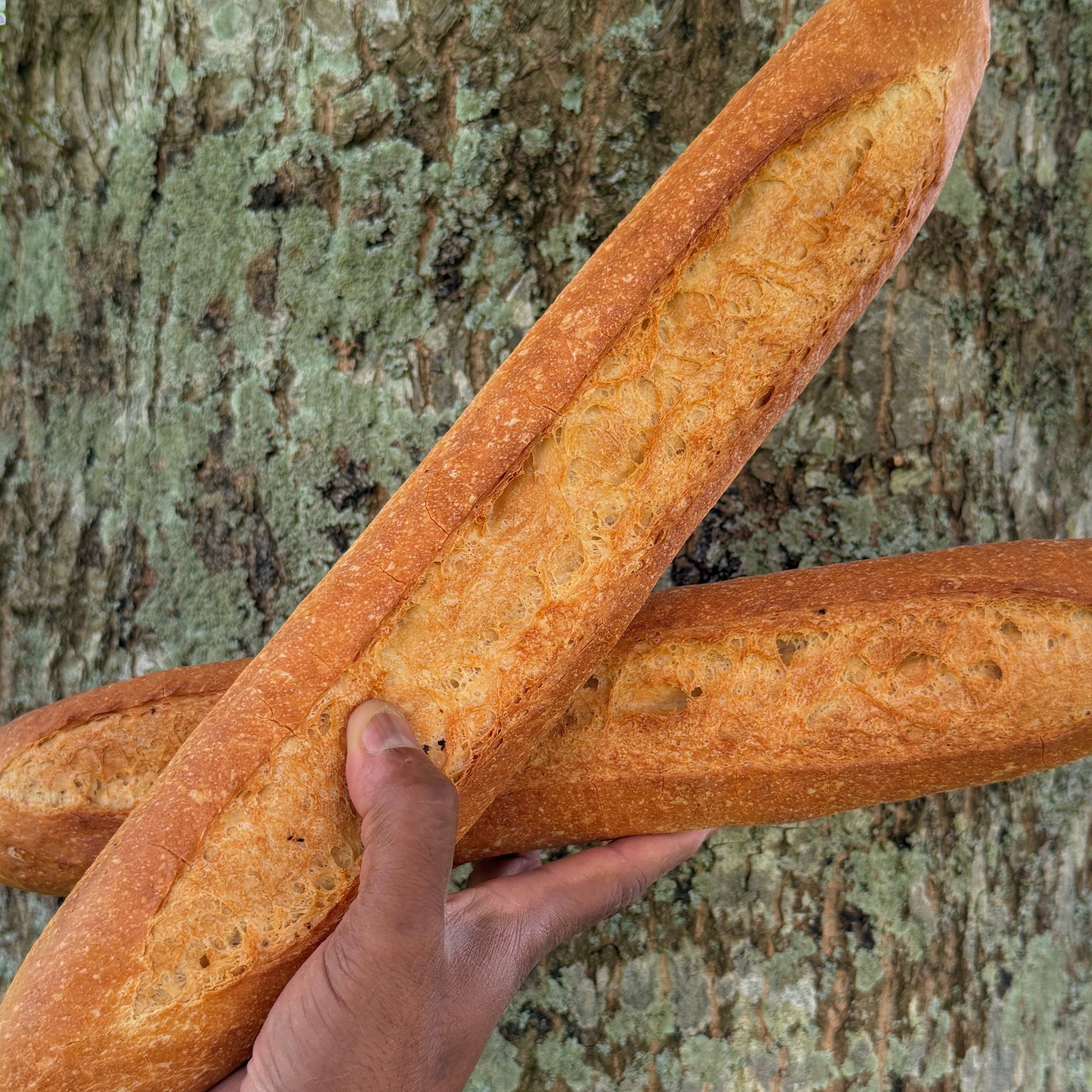 Baguette